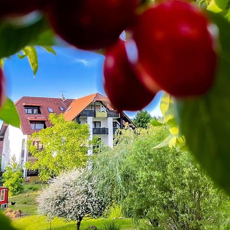 Gasthaus Hirschenstube & Gaestehaus Gehri ヴァルトキルヒ エクステリア 写真